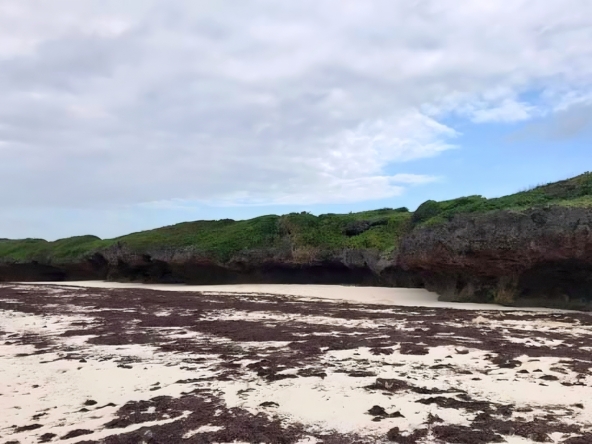 24 Acre Prime Beach Plot for Sale in Kilifi RealEstateKenya.net 1st Row Beach plot 2