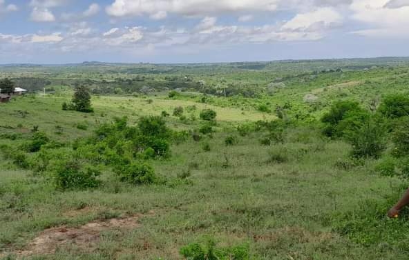 RealEstateKenya.net 43 Acres of Prime Land for Sale in Kinunguna Ksh 1M per Acre1000090874