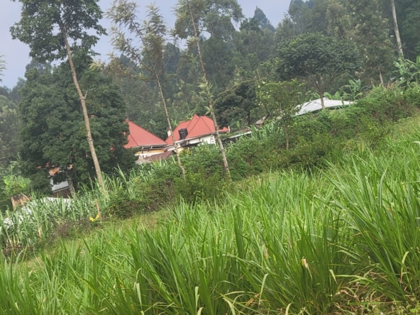 RealEstateKenya.net Residential Plot for Sale in Nyosia, Kisii County NYOSIA 120-300