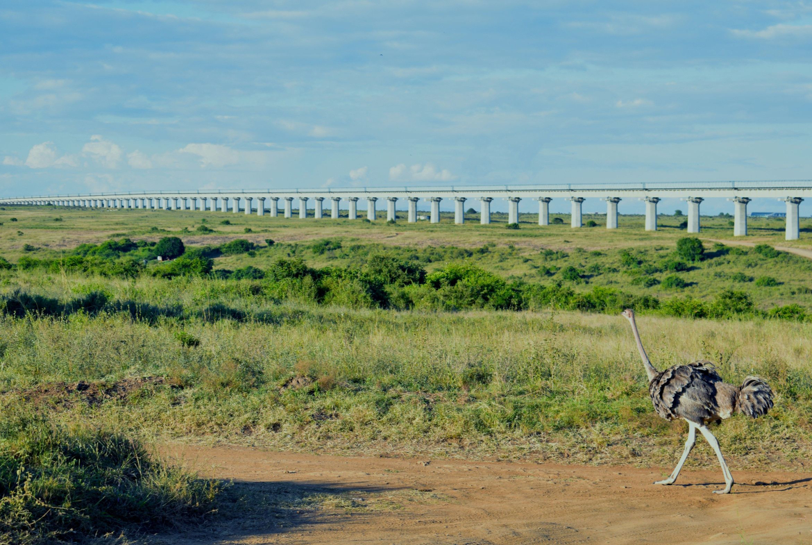 24-Hour Flash Sale_ Prime Konza City Land for Sale in Kajiado – Don’t Miss Out!.realestatekenya.net