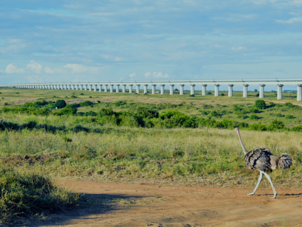 24-Hour Flash Sale_ Prime Konza City Land for Sale in Kajiado – Don’t Miss Out!.realestatekenya.net