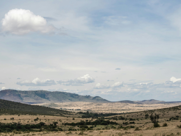 Freehold vs. Leasehold Land Ownership in Kenya.realestatekenya.net