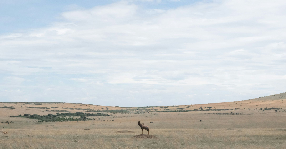 Land parcels in Kitengela appreciating in value over time 