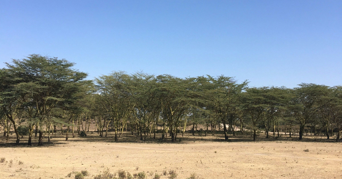 Real estate development projects in Machakos, Kenya