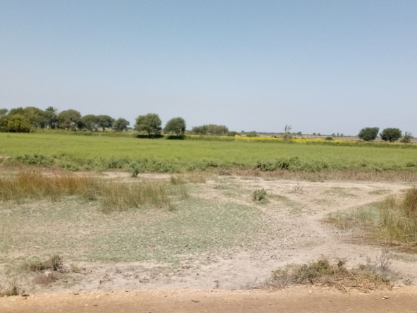 Start a Real Estate Business_ Buy 5 Acres, Sell 50 x 100 Plots realestatekenya.net-real-estate-kenya