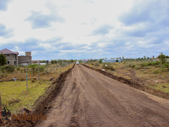 KITENGELA ACACIA