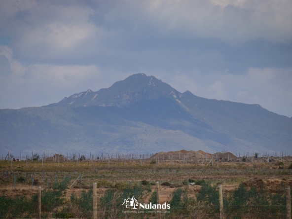 NAIVASHA with a view of Mt.Longonot 1