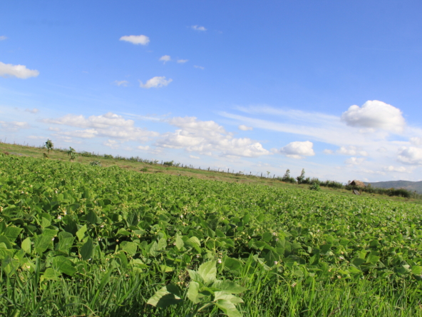 1 Acre at Narok Farmlands, Narok, Narok County