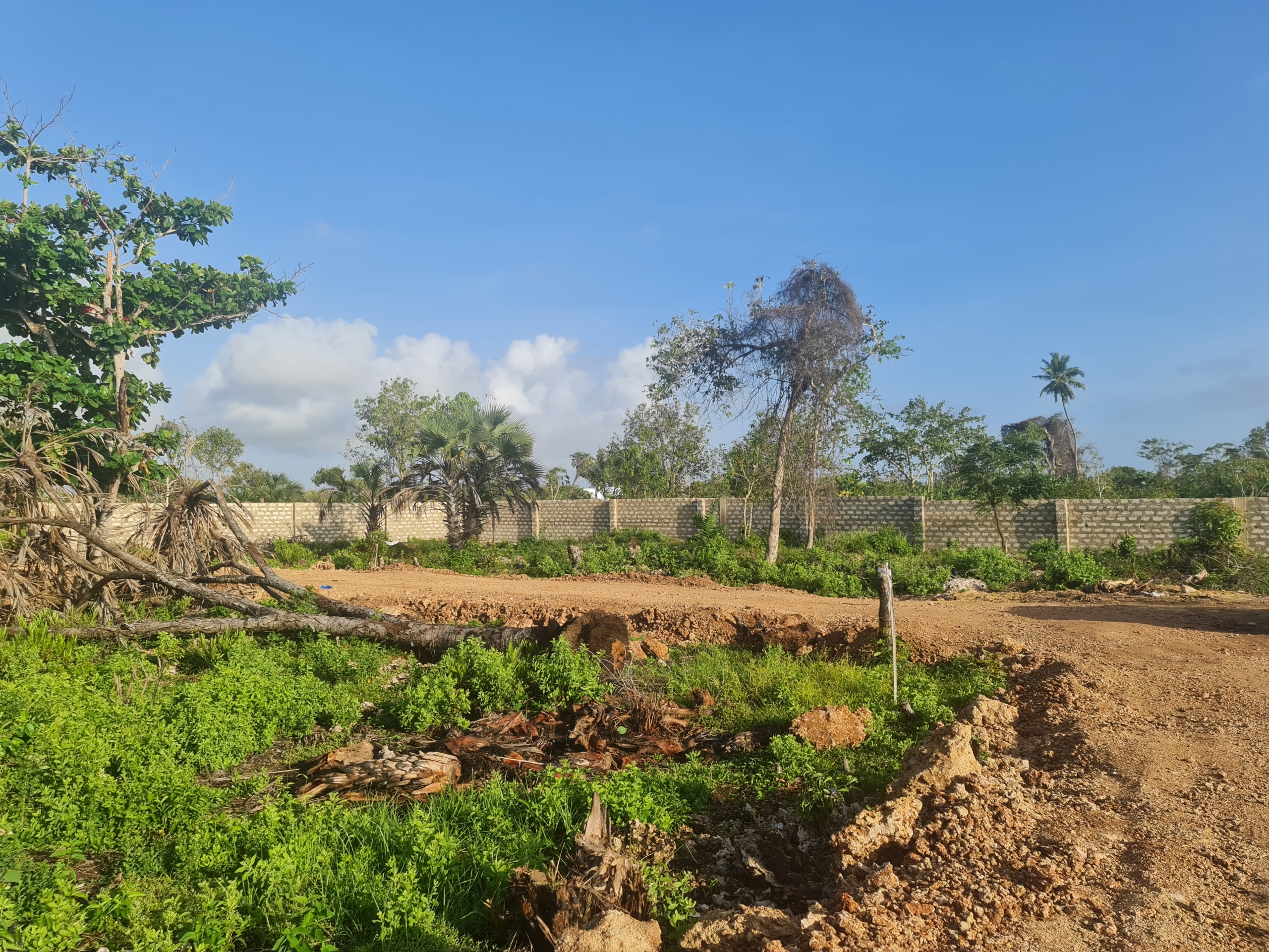 DIANI - TULIVU GARDENS 3land for sale in kenya - RealEstateKenya.net