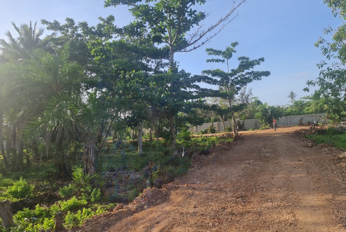 DIANI - TULIVU GARDENSland for sale in kenya - RealEstateKenya.net