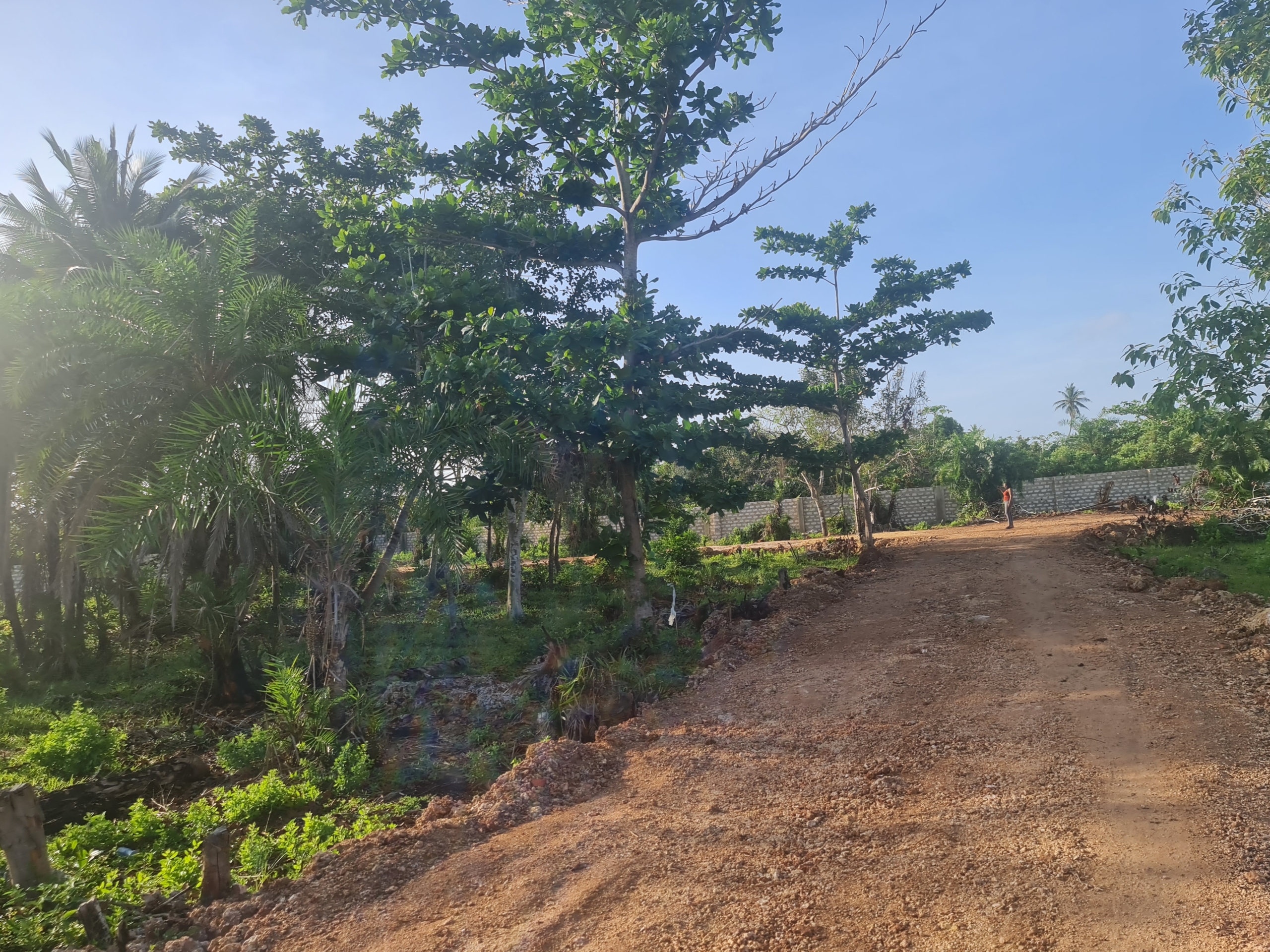 DIANI - TULIVU GARDENSland for sale in kenya - RealEstateKenya.net